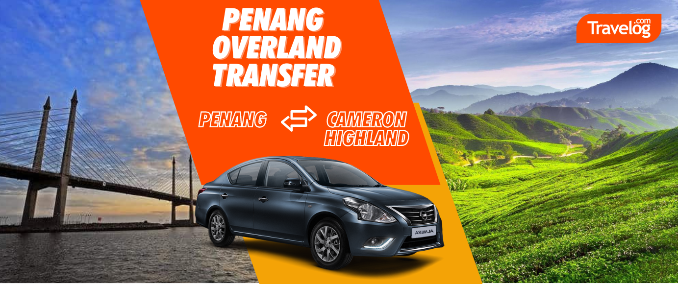 Penang to Cameron Highland or Cameron Highland to Penang Private Car